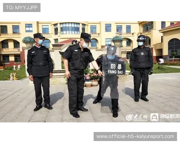 塞尔塔战略升级：引入区域协防理念打造铁壁防线