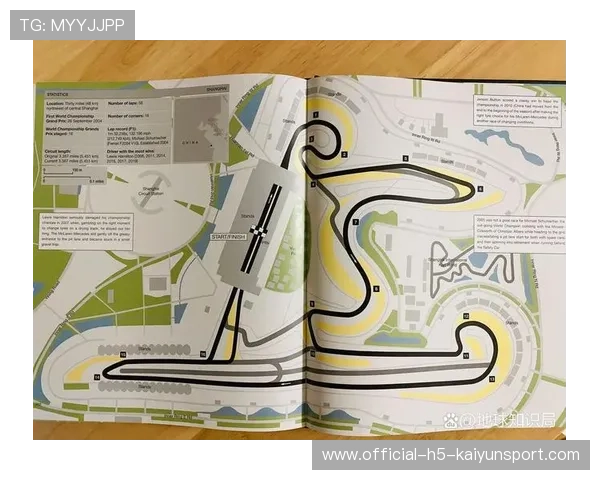 一级方程式车手在高速弯道寻找最佳切弯线路的思维